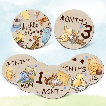 Picture of Winnie Baby Monthly Milestone Circles - The Pooh Bear Baby Stuff Wooden Discs for Baby Girl Boy - 7Pcs Double Sides Round Circles Signs for Newborn Photo Prop