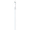 Picture of Apple USB-C to Lightning Cable (1 m)