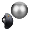 Picture of All-New 2024, Trackball 34mm/1.34 Inches Trackball, Replacement Ball for Logitech M575, M570, MX Ergo, ELECOM, Kensington, Perixx, and Other Compatible Trackball Mice, Glossy - Gray