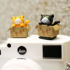 Picture of Camera Hot Shoe Cover, Cute Cat Kitty Kitten Hot Shoe Cap, Hot Shoe Protector Compatible with Sony Fujifilm Fuji Canon Nikon Pentax Leical Panasonic (2pcs Cats)