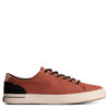 Picture of Sperry Men's, Striper II LTT SeaCycled Sneaker Rust - Size: 10