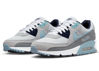 Picture of Nike Men's Air Max 90 Pure Platinum/Worn Blue (DM0029 003) - 8.5 - Size: 8.5