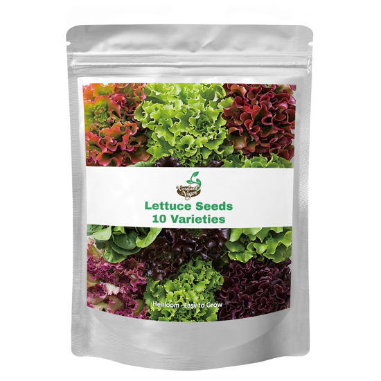 Picture of 20,000+ Lettuce Seeds, Heirloom Vegetable Seed for Planting Indoor Outdoor, 10 Varieties Fresh Lettuce Salad Seeds Garden Hydroponics Kit - Romaine, Iceberg, Boston, Bibb and More, Non-GMO