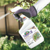 Picture of Bonide Captain Jack's Neem Oil, 32 oz Ready-to-Use Spray, Multi-Purpose Fungicide, Insecticide and Miticide for Organic Gardening