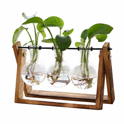 Picture of XXXFLOWER Plant Terrarium with Wooden Stand, Air Planter Bulb Glass Vase Metal Swivel Holder Retro Tabletop for Hydroponics Home Garden Office Decoration - 3 Bulb Vase