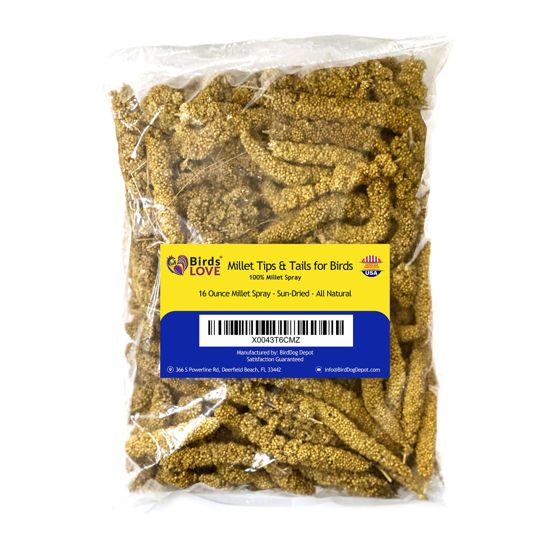 Picture of Birds LOVE Millet Tips & Tails for Birds - Parakeets, Cockatiels, Lovebirds, Finches, Budgies, Canaries, Cockatoos - Natural & Healthy Millet for Birds - Parakeet Food & Treats for All Parrots, 1lb